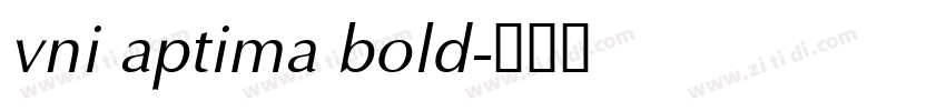 vni aptima bold字体转换